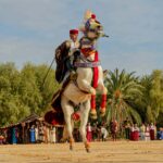 توزر: الدورة 46 للمهرجان الدولي للواحات بتوزر في يومها الأول تساهم في الرفع في نسب المؤشرات السياحية وإجماع على نجاح عروض البدايات والبقية تأتي..