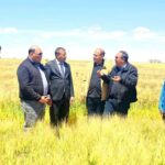 الفلاحة الصحراوية… تجربة رائدة ستعود على البلاد بالفائدة