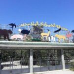 حديقة الحيوانات بالبلفيدير ستُغلق أبوابها… للصيانة والأسعار لن تتغيّر