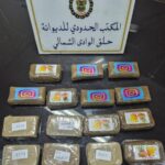 ميناء حلق الوادي: إحباط محاولة تهريب مخدّر القنب الهندي