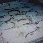 بمناسبة الاحتفال برأس السنة: ما يختفي خلف الزّجاج الملوّن لا يبعث دائماً على الإطمئنان