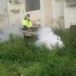 بن عروس: البلدية تشرع في مداواة أوكار الناموس